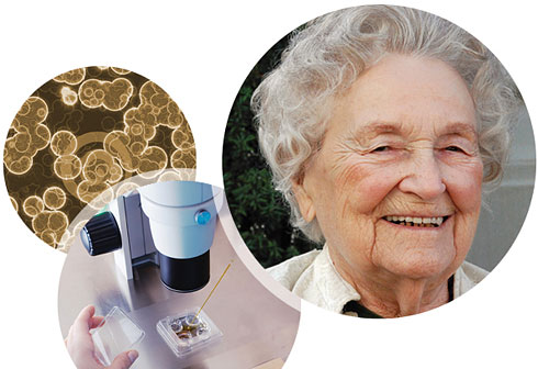 microscope, older woman, petrie dish specimen